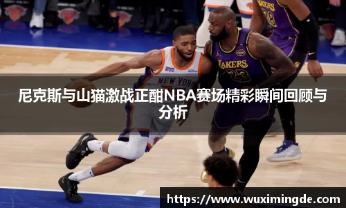 尼克斯与山猫激战正酣NBA赛场精彩瞬间回顾与分析
