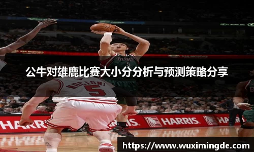 公牛对雄鹿比赛大小分分析与预测策略分享